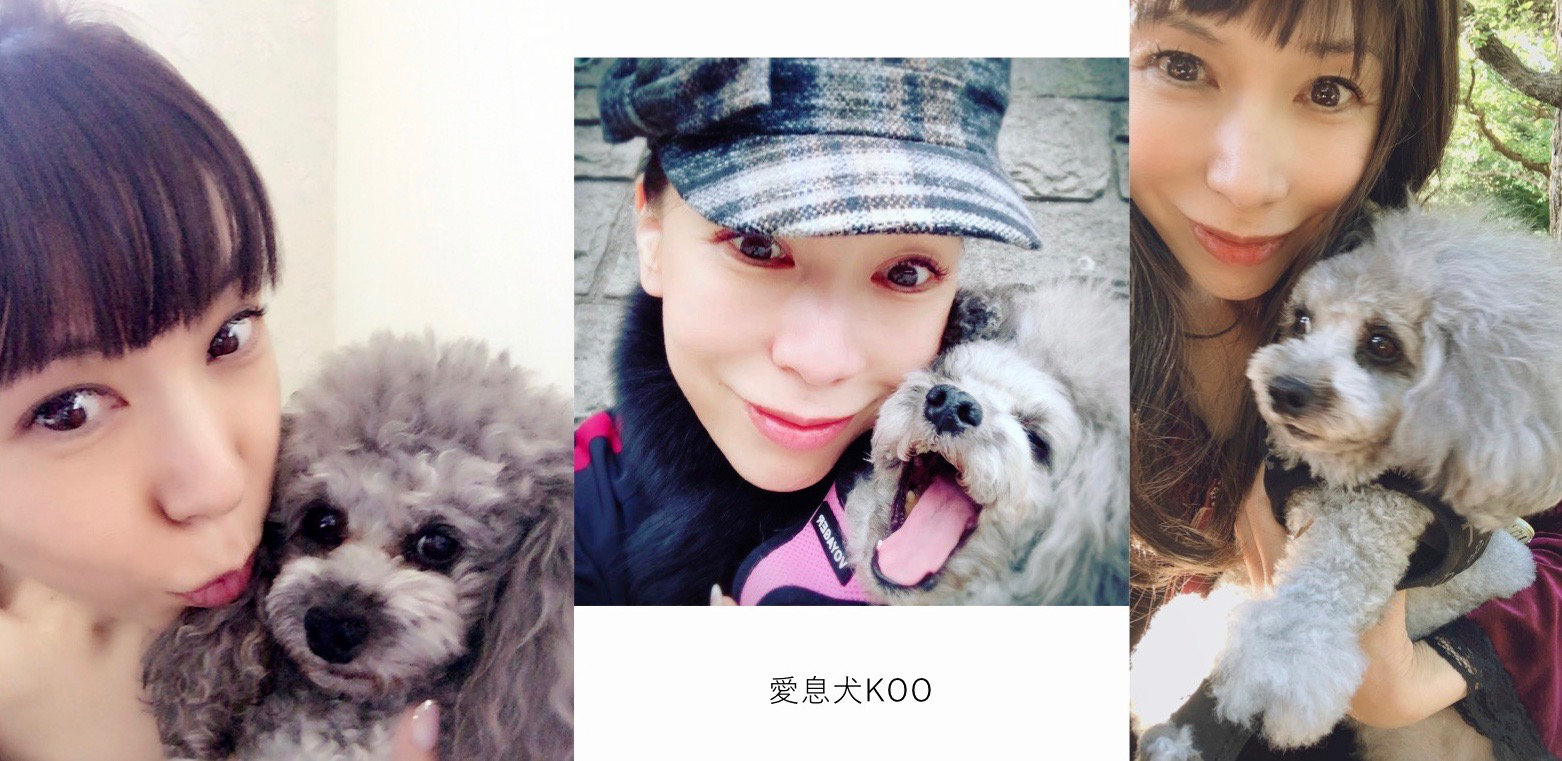 koo